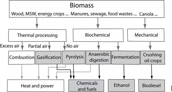 Examples of use of biogas in transport include a bus in Switzerland and a train in Sweden. Biogas may be obtained from landfills as a result of anaerobic processes.