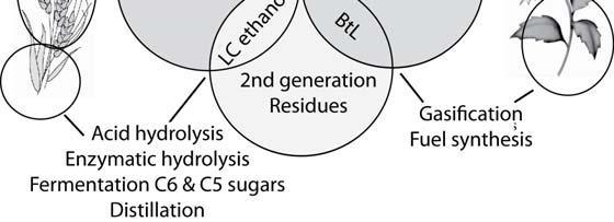 First-generation biofuels are essentially derived from food crops.