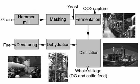 2008 est Year Figure 6. US ethanol production capacity (RFA/DoE 7 February 2007) Figure 7.