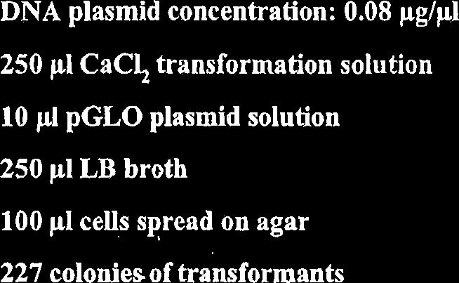 Calculate the transformation efficiency of the following experiment using the information and the resul~ listed below. DNA plasmid concentration: 0.