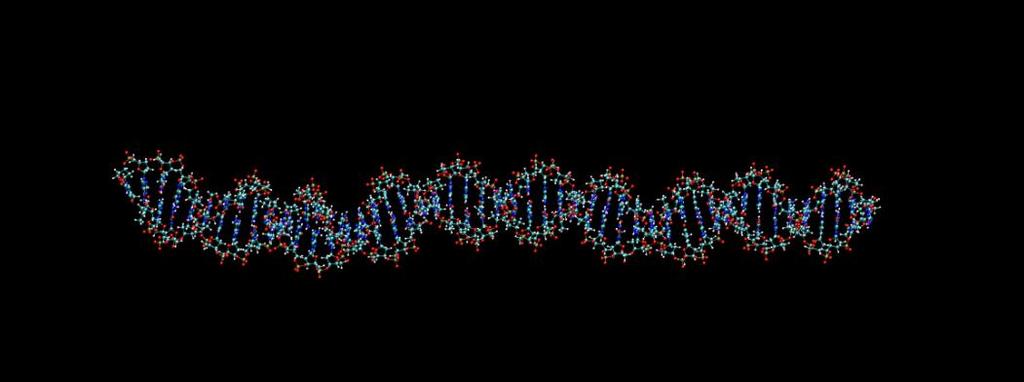 Initial Structures SWCNT = 2100 atoms DNA = 3070