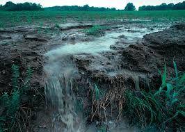 The precipitation that falls on land and flows into streams and