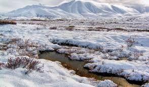 What are the major land biomes? Tundra has low average temperatures and very little precipitation. It is found in the Arctic and in high mountain regions.