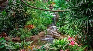 What are the major land biomes? Tropical rainforests are located near Earth s equator. This biome is warm throughout the year, and it receives more rain than any other biome.