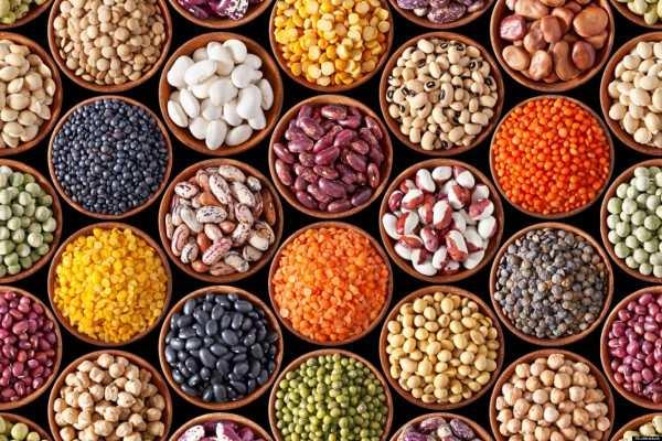Alternative Protein Sources: Legumes Proteins from other sources than meat: E.g. Legumes Major difference in emission Tuomisto et al, 2014.
