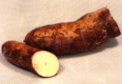 Yield of Cassava, National Root Crops Institute, Nigeria 1 EVALUATION OF THE EFFECT OF APPLICATION OF ALGIFOL (FOLIAR FERTILISER) ON THE YIELD OF CASSAVA BY A.O. ANO AND M.
