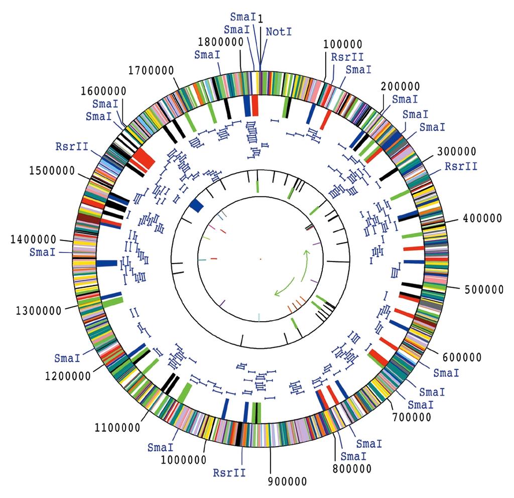 complete genome Haemophilus influenzae: complete genome