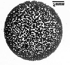 (a) (b) (c) (d) Fig. 3 Porous -Ti SMAs synthesized by CS: (a) macrograph, (b) optical micrograph, (c) a cross-sectional slice, and (d) SEM micrograph. by CPS.