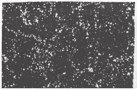 19 21) Recently, silicarich oxide bi-films were considered to be able to behave as substrates on which oxysulphide particles form, nucleating graphite.