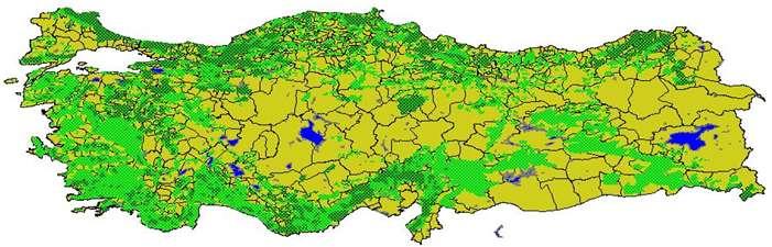 TURKEY S FOREST