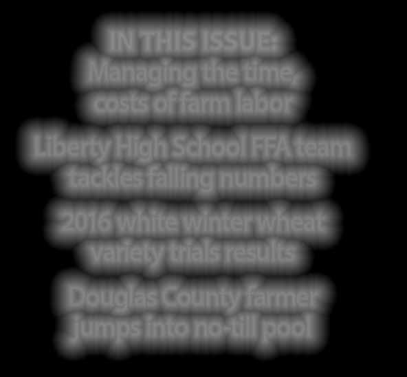numbers 2016 white winter wheat variety trials results Douglas County farmer jumps into no-till pool