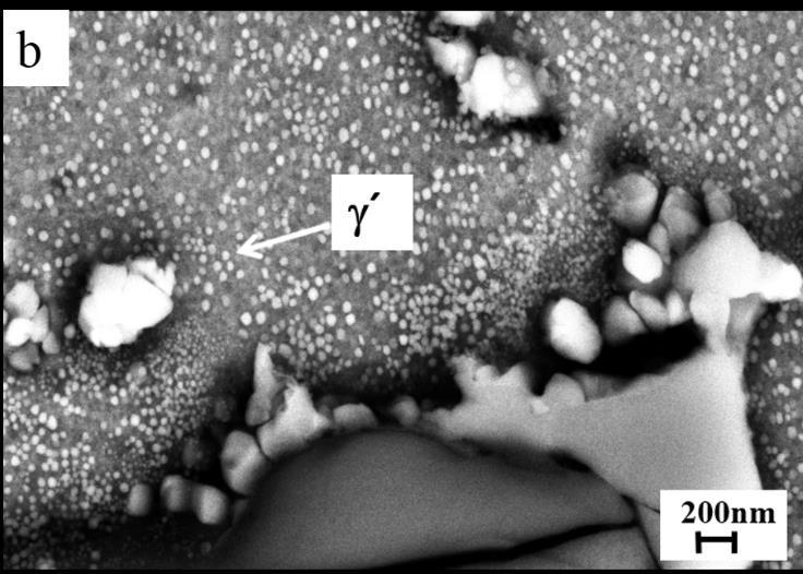 Longitudinal sections of the fractured samples were observed by optical and electron microscopy after grinding and polishing followed by electrochemical etching with oxalic acid at 3 V for 10 15