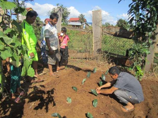 Training on agroforestry or conservation agriculture)