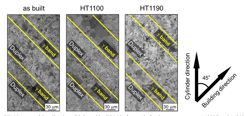 1368 THERMEC 2018 Fig. 1. SEM images of the alloy bars fabricated by EBM before and after heat treatments at 1100 C and 1190 C. Fig. 2. Wγ of the alloy bars fabricated by EBM before and after heat treatments at 1100 C and 1190 C.