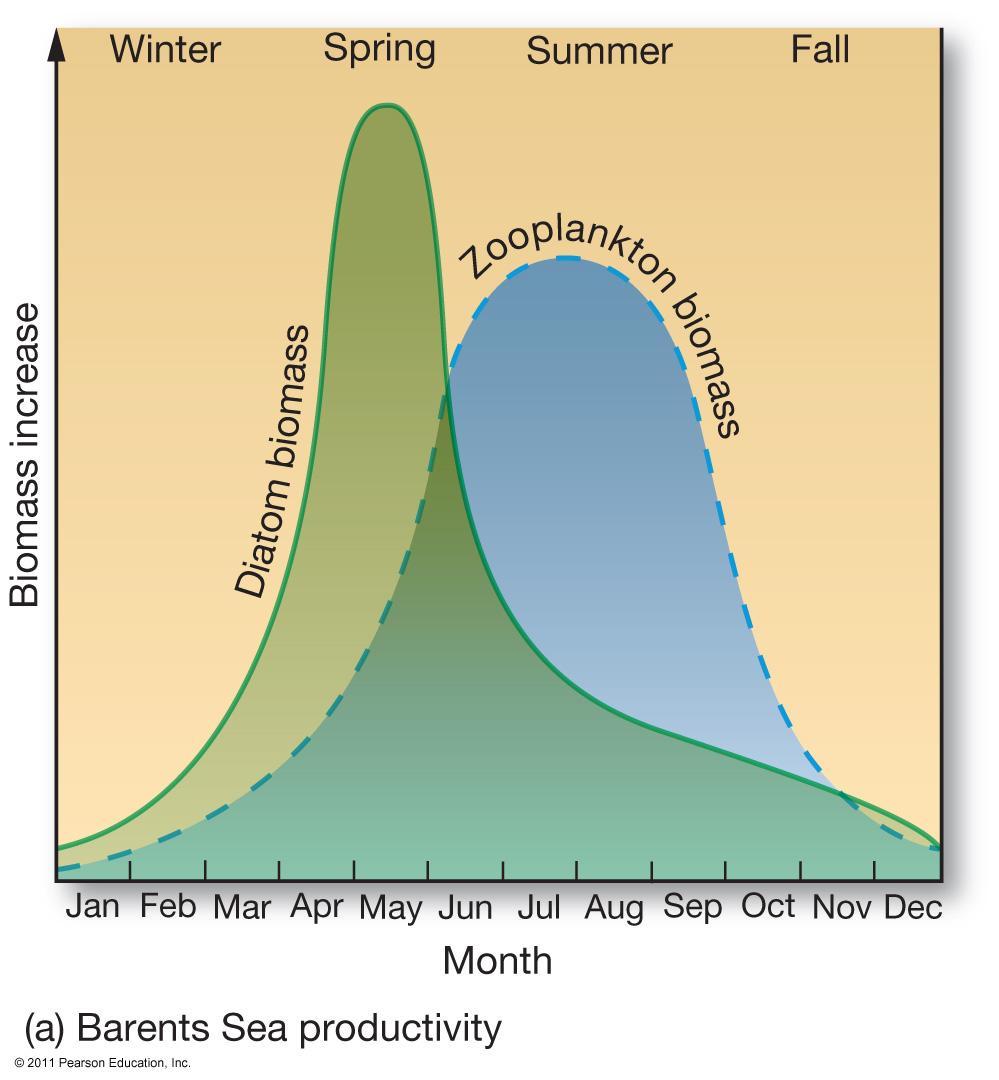 Polar Ocean Productivity Winter darkness Summer sunlight Phytoplankton (diatoms) bloom