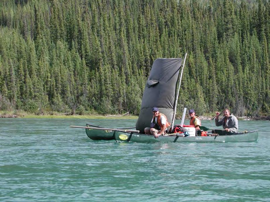 Yukon River: Thirty Mile Section 10 - Year Review (1990-2002) Recreational paddlers, Thirty Mile Section of Yukon