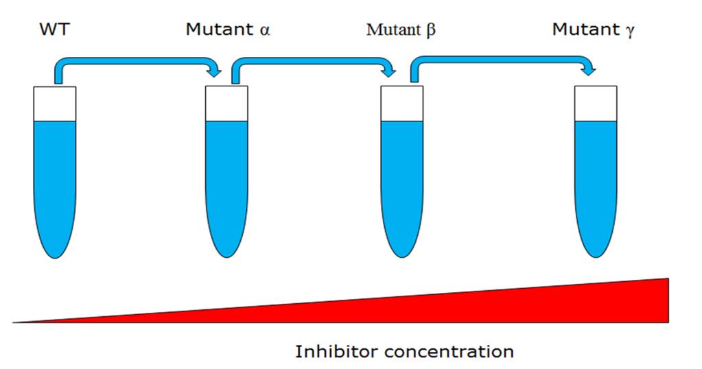 Adaptation to feedstock inhibition