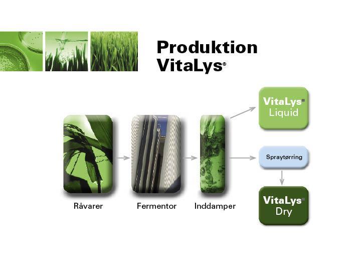 Production process at Vitalys Spray drying