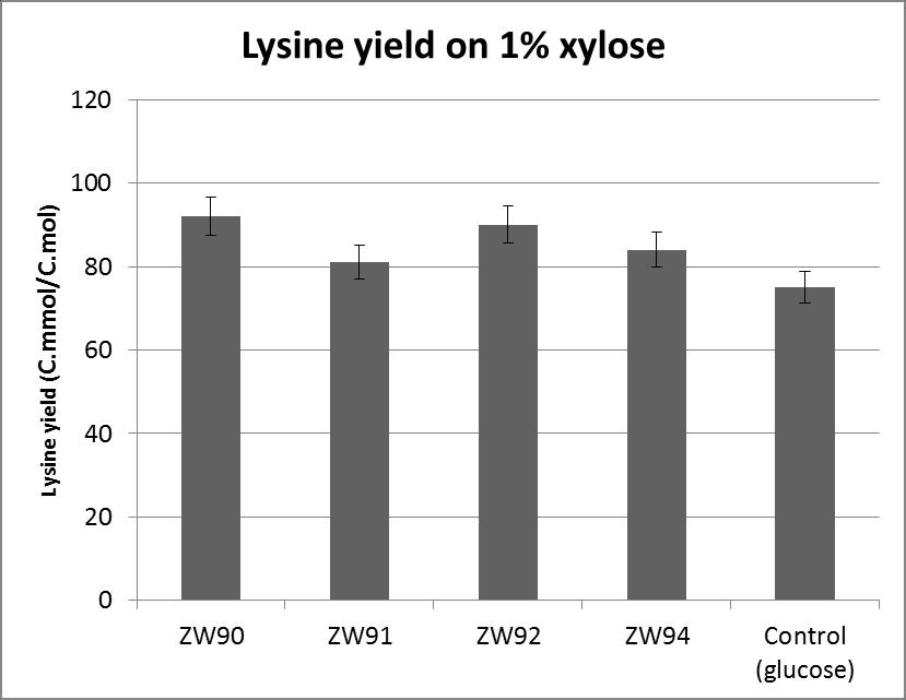 Model strain - Lysine production from xylose 1.
