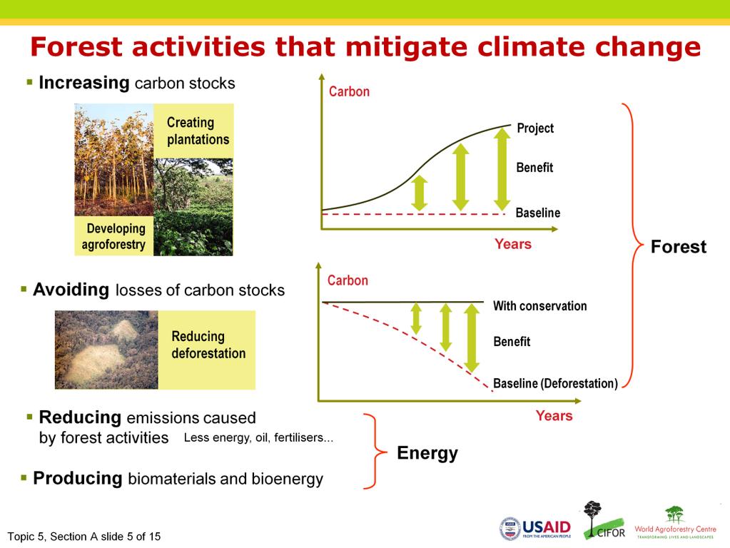 Narration: Many forest activities can contribute to climate change mitigation. First, carbon stocks can be increased through plantations or agroforestry.