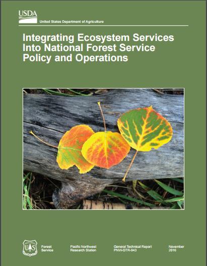 Introduction Ecosystem Services and USFS Elements of an Ecosystem Services Approach Decision-Making and Analysis Measuring, Reporting,