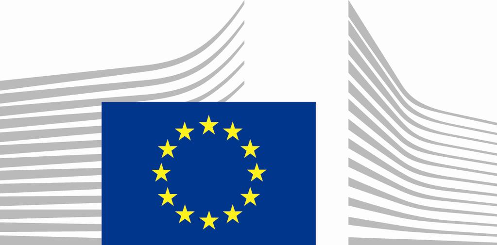 EUROPEAN COMMISSION DIRECTORATE-GENERAL ENVIRONMENT Directorate D - Water, Marine Environment & Chemicals ENV.D.3 - Chemicals, Biocides and Nanomaterials CA-Feb13