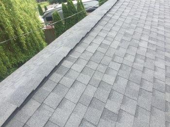 1. Roof Condition Roof Composition shingle roof surface at garage,