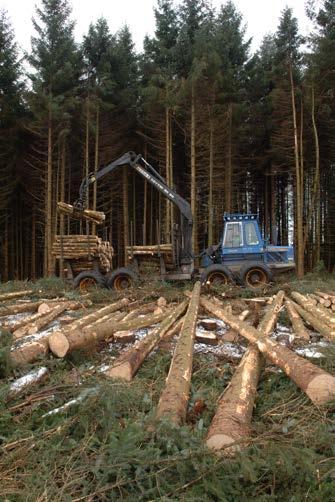 Management Objectives Economic - produce sustainable timber yields, encourage and support new and existing business