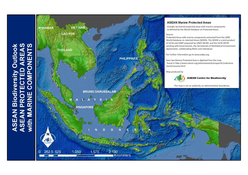+ The ASEAN Response and Imperatives for Actions ASEAN Heritage Parks ASEAN -WEN The Coral Triangle Initiative Greater Mekong Subregion In Southeast Asia, progress has been made mainly on conserving