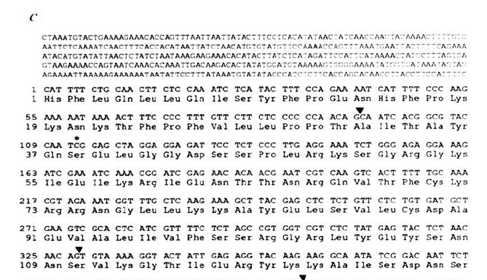 Protein sequence Amino acid