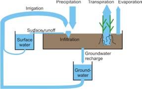 MABIA: the model simulates transpiration, evaporation, irrigation requirements and scheduling,