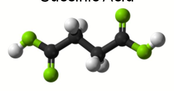 Key Milestones since BIO 2013 Bio-Based Succinic Acid