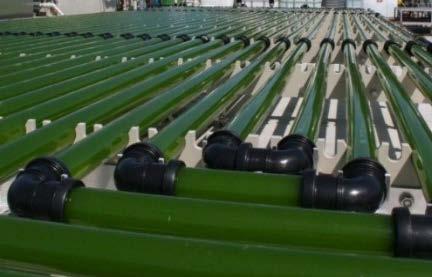 ALGAE RESEARCH AT SABIC: WHY? Long term interest Valorize (flue gas) CO2.