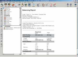 Balancing report The Ascent program provides the ability to store historical balancing reports.