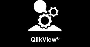 Add Qlik Sense to a QlikView site Dual Use Maintenance up 30% 1 NAMED = 1 Professional 1 DOC =