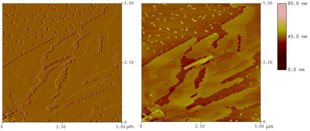 Figure S-6 AFM height images of thin films of DAP (ca. 100nm thick) deposited on bare SiO 2, OTMS-modified SiO 2 and ODPA-modified SiO 2.