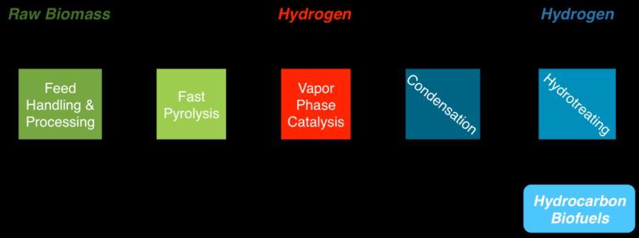 Opportunity: Woody Biomass Conversion to Gasoline and Diesel Blendstocks through Catalytic Fast