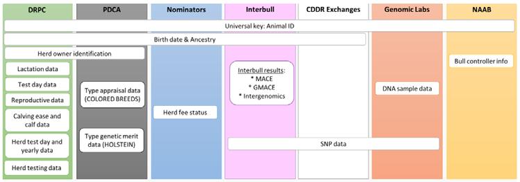CDCB hosts cooperator phenotypic and ge