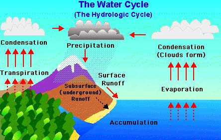 Heat energy from the sun causes water in puddles, streams, rivers, seas or lakes to change from a liquid to a water vapor. This is called evaporation.