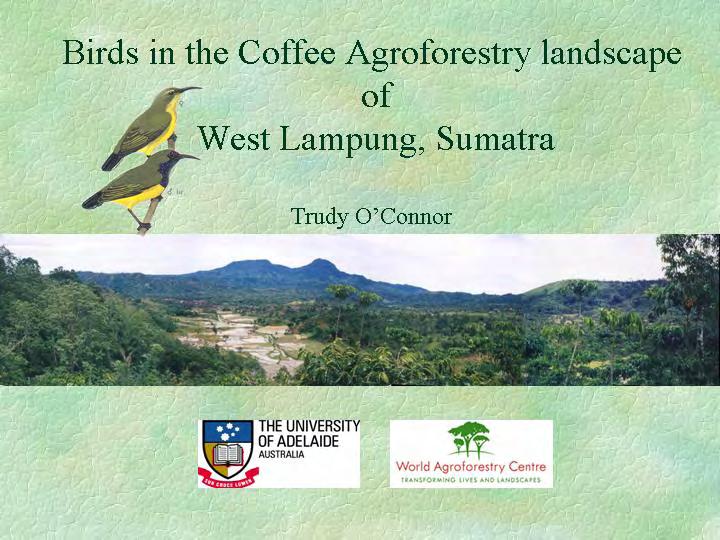 The lack of attractive conservation flagships such as orangutan is a challenge Bird-friendly coffee has become a way for farmers in