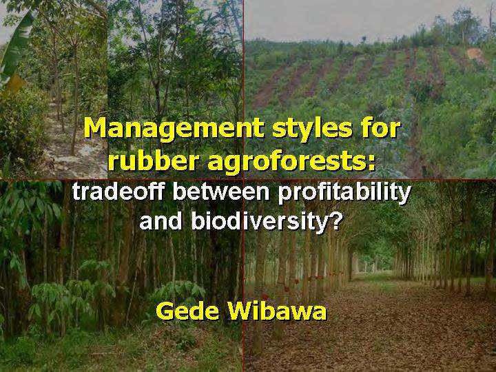 Earlier presentations demonstrated the high biodiversity levels in the jungle rubber systems of Indonesia, and their relation to the