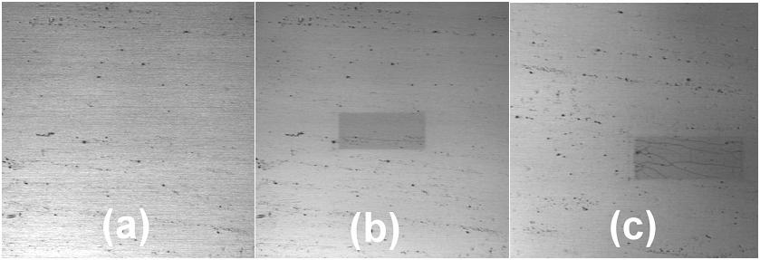 Optical Recording in t.f.-niwo 4 Confocal images: 134 mm 167 mm 15 mw 25 mw 50 mw Raman Intensity (a.u.
