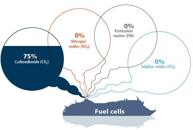Future: Fuel Cells 16 Fossil Renewable