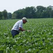 Environment Pest management: Protecting crops against weeds, pests and diseases.