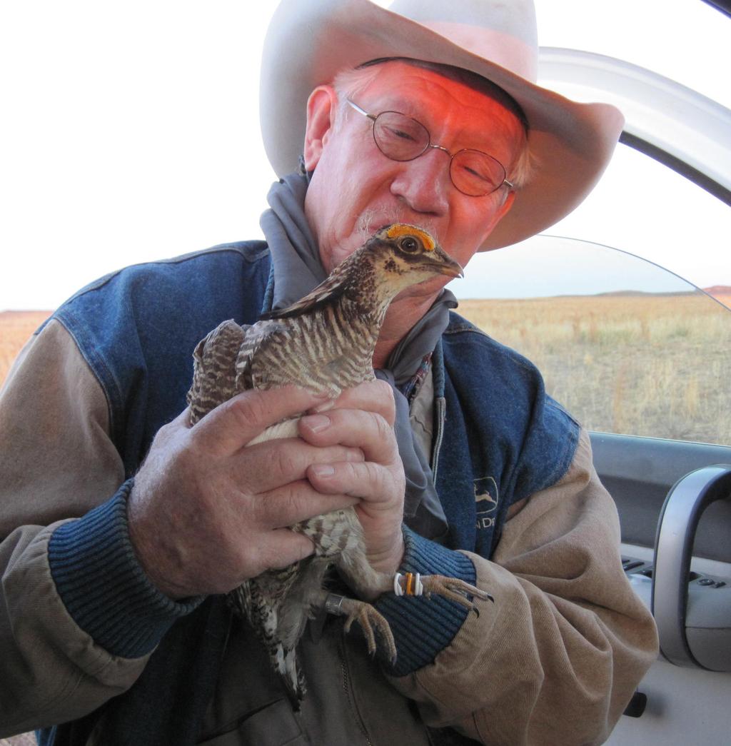 Lesser Prairie-Chicken initiative New research demonstrates that sustainable grazing and lesser
