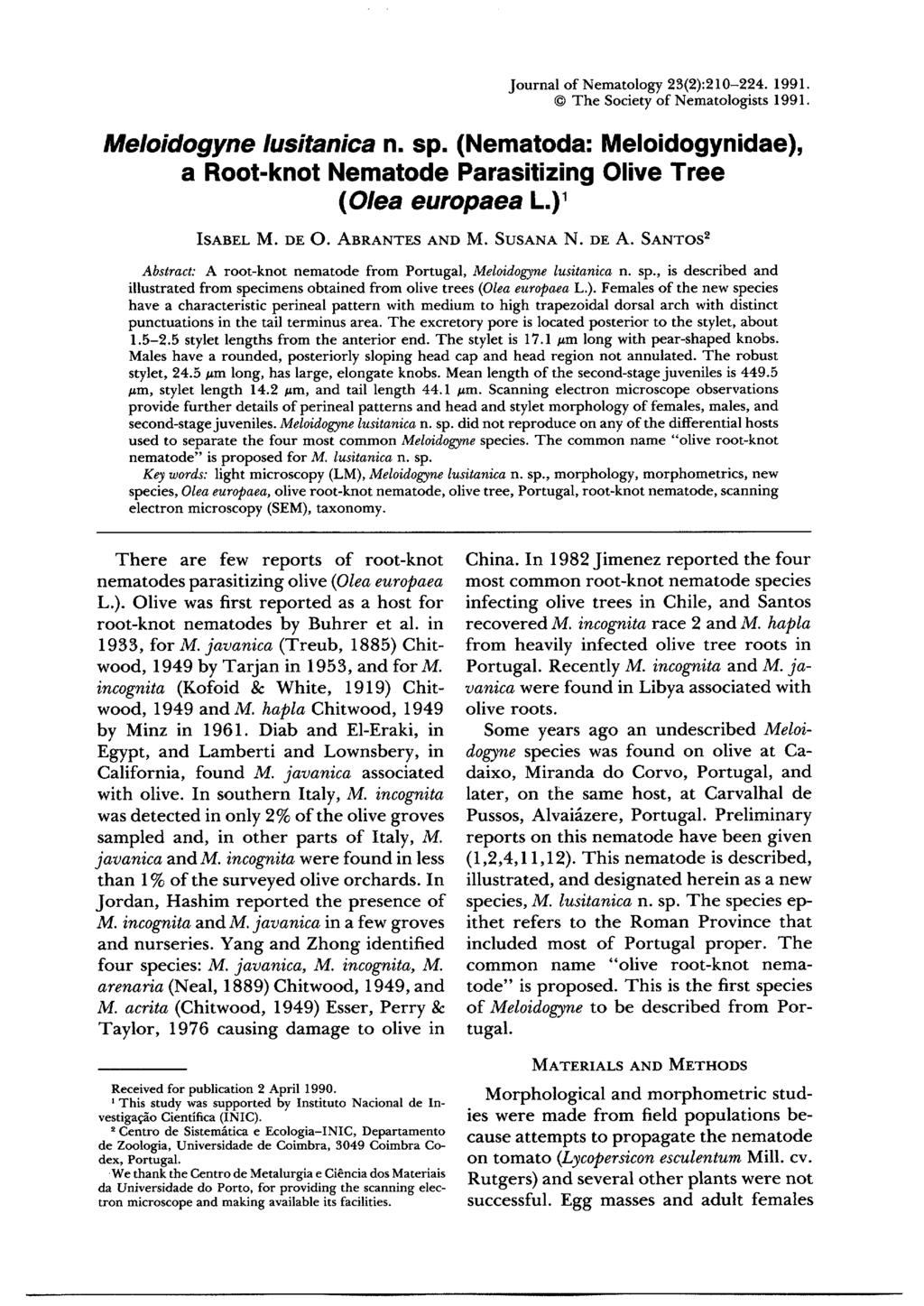 Journal of Nematology 23(2):210-224. 1991. The Society of Nematologists 1991. Meloidogyne lusitanica n. sp. (Nematoda: Meloidogynidae), a Root-knot Nematode Parasitizing Olive Tree ( Olea europaea L.