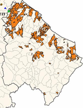 CLC Olive grove distribution on Chieti Province Spatial distribution of the total active ingredient The statistic information includes: - Pesticides quantities for the main categories calculated on
