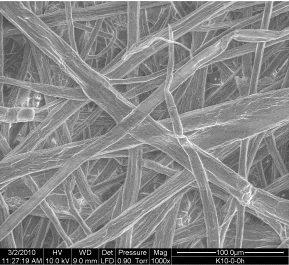 SEM micrographs of the fiber surface of pulp samples from the unrefined (0 revs) and refined (2000 revs) paper sheets prepared from the never