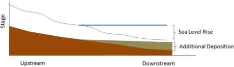 and rainfall runoff is decreased. Conversely, shallower groundwater may drown the root zone and cause the opposite result.