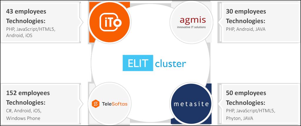 ELIT Cluster